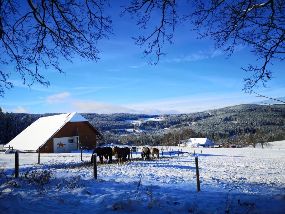 Apartman Spa Sumava Zdíkov Eksteriør bilde