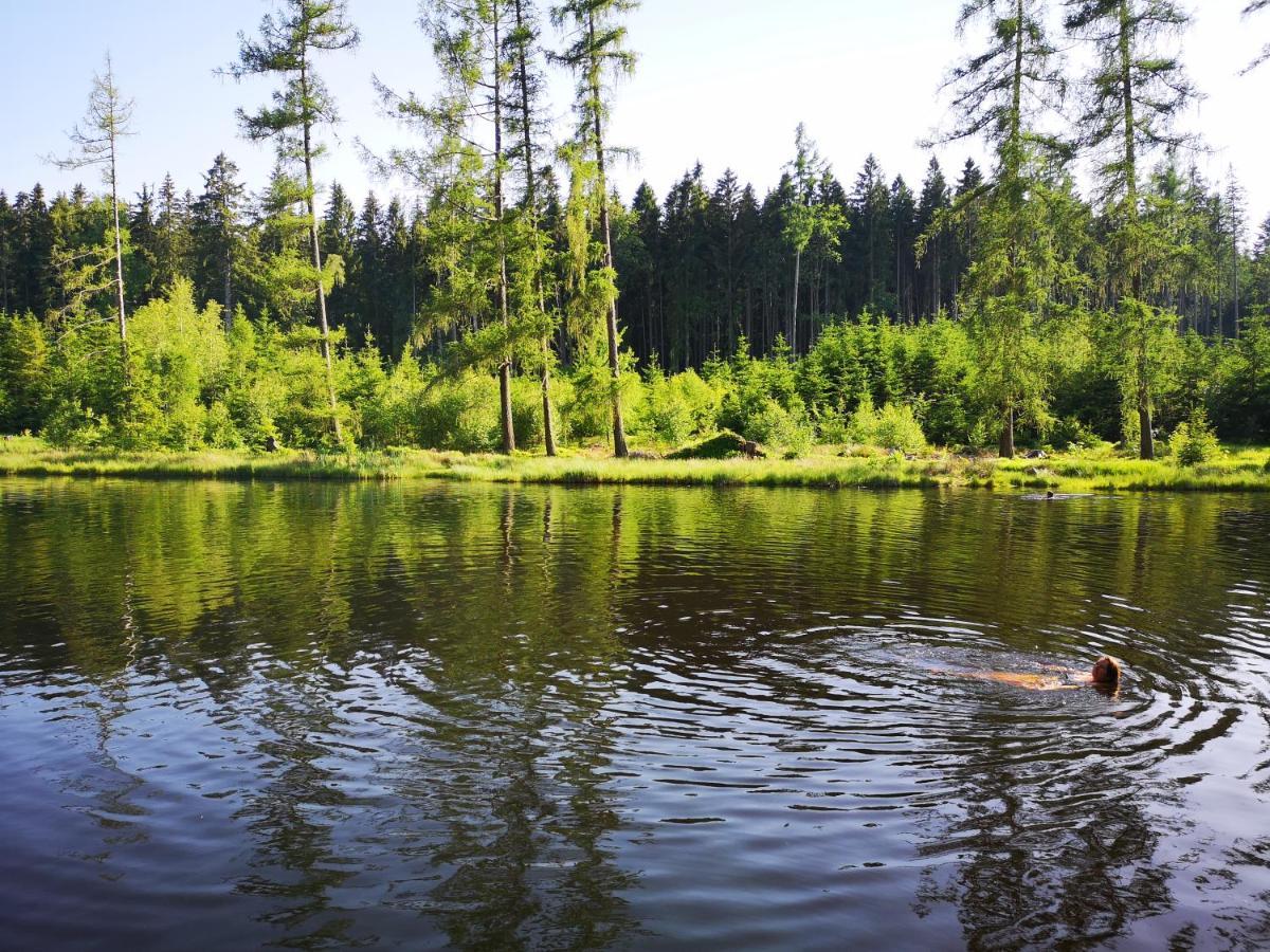 Apartman Spa Sumava Zdíkov Eksteriør bilde